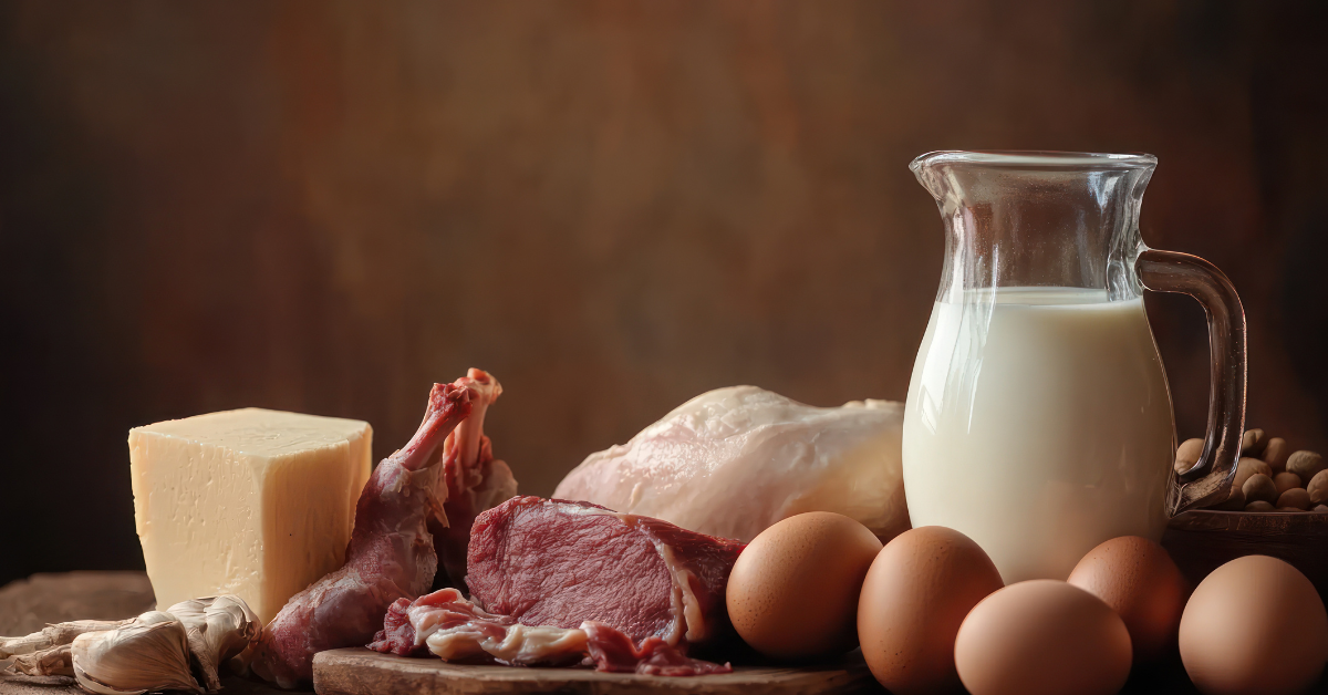 Animal-based protein sources including grass-fed beef, eggs, bone broth, and collagen powder
