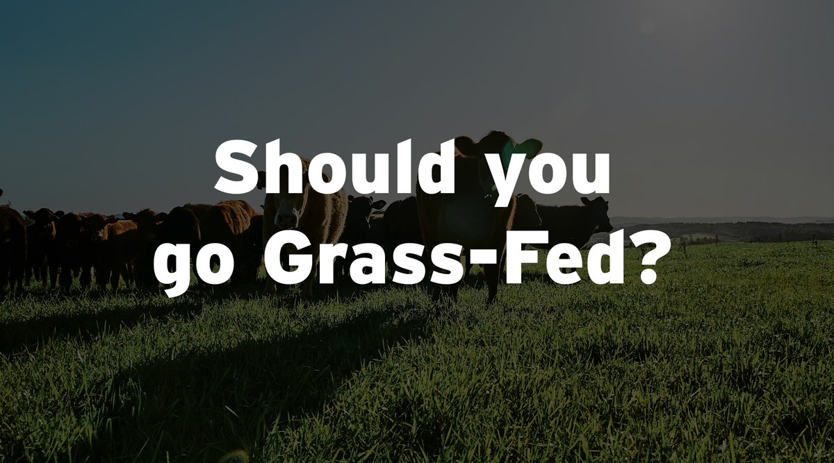 Should You Go For Grass-Fed?