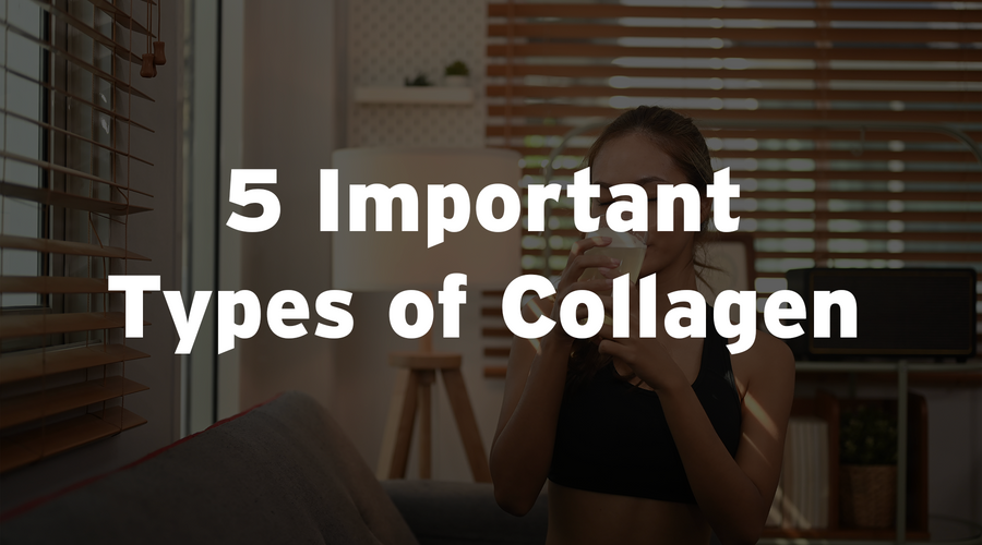 5 Important Types of Collagen