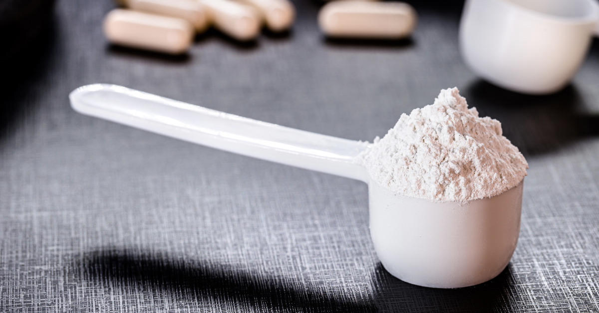 Close-up of fine beef protein isolate powder with a measuring scoop