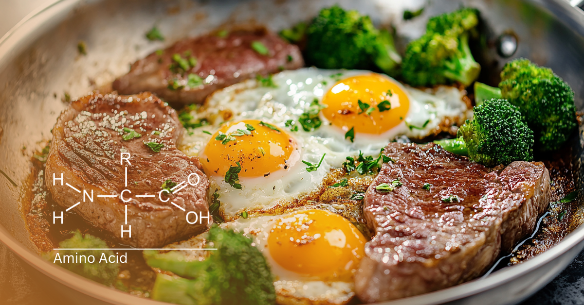 Protein-rich meal with steak and eggs illustrating a complete amino acid profile