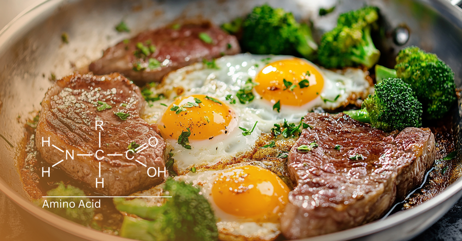 Protein-rich meal with steak and eggs illustrating a complete amino acid profile