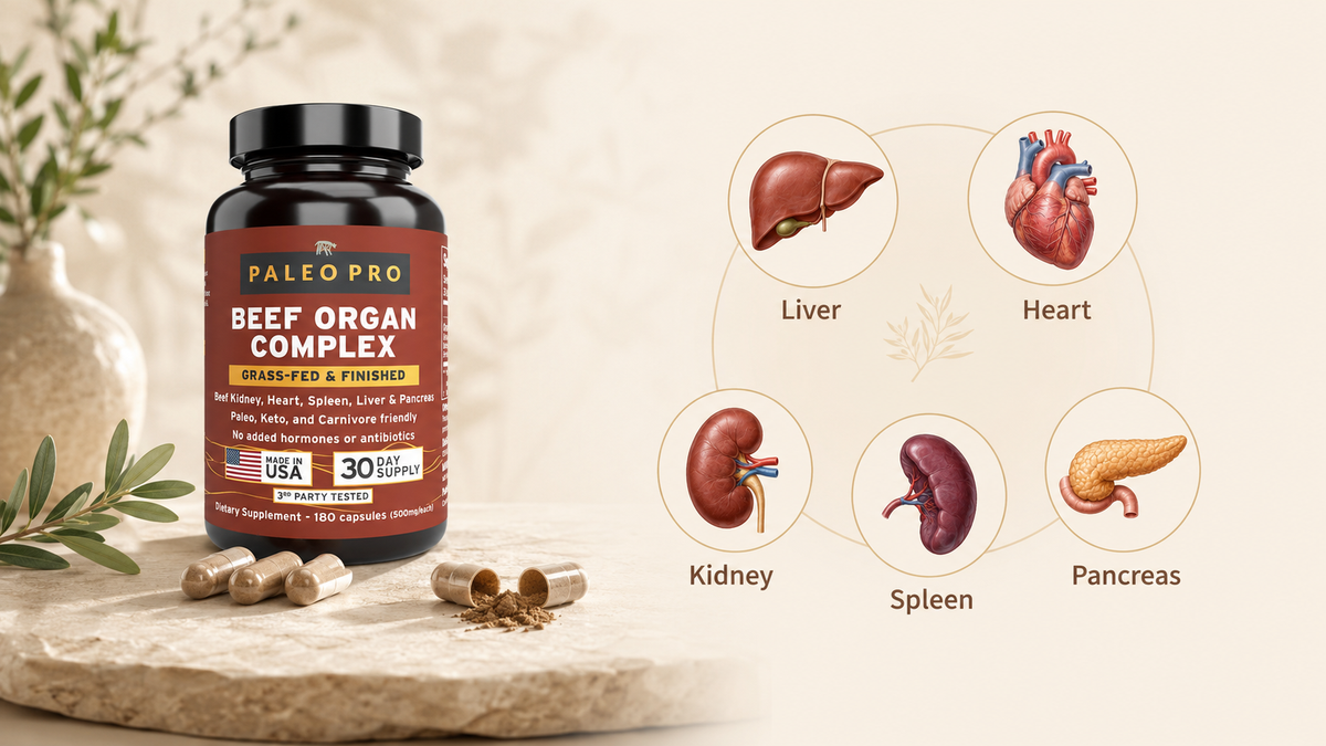 Open beef organ complex capsules beside labeled illustrations of liver, heart, kidney, spleen, and pancreas