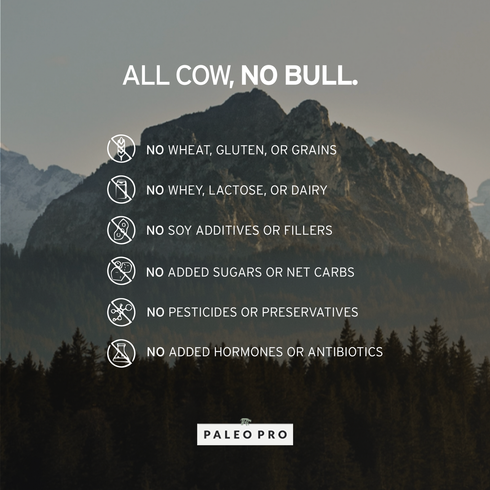 ALL COW, NO BULL. No wheat, gluten, or grains. No whey, lactose, or dairy. No soy additives or fillers. No added sugars or net carbs. No pesticides or preservatives. No added hormones or antibiotics. 