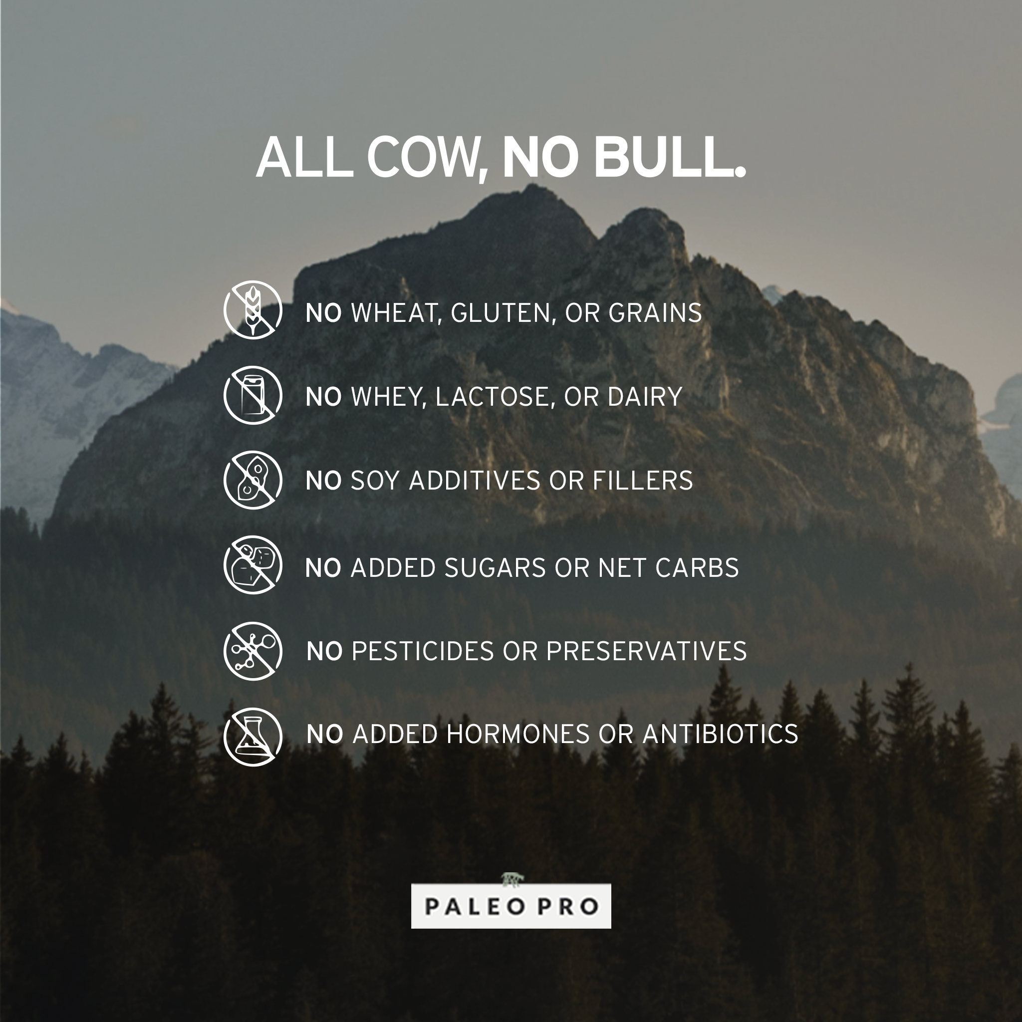 ALL COW, NO BULL. No wheat, gluten, or grains. No whey, lactose, or dairy. No soy additives or fillers. No added sugars or net carbs. No pesticides or preservatives. No added hormones or antibiotics. 