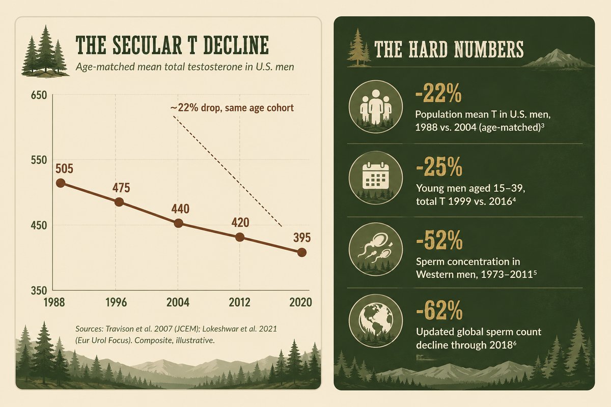 The secular testosterone decline — average male testosterone has fallen for decades
